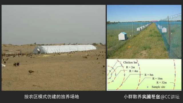 台风_台风是什么意思